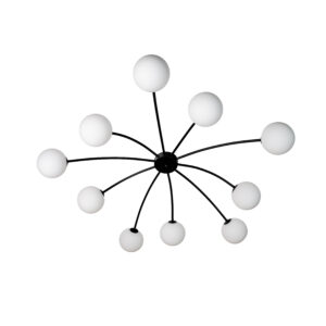 ORFEO 505
