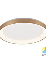 BH17-00286_1-600×600