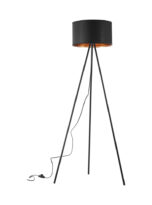 BV06-00031_1
