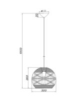 BV02-00031_4