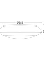 BG37-00700_7