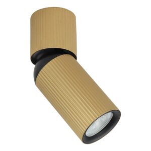 Plafonska lampa Forma AFS117-1C BK unosi savremen i elegantan karakter u svaki enterijer. Izrađena od kvalitetnog metala u atraktivnoj crnoj boji, dimenzija 165×60 mm, lako se uklapa u različite moderne ambijente. Njeno cilindrično kućište sa GU10 grlom omogućava usmeravanje svetlosti ka željenom pravcu, što je čini odličnim rešenjem za akcentno osvetljenje. Jednostavan dizajn, precizna izrada i moderan izgled čine ovu plafonsku lampu savršenim izborom za sve koji teže ka minimalizmu.