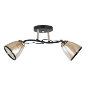 Plafonska lampa MD2740-2