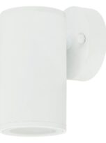 s4618-wh
