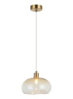 F9216-1V-AM