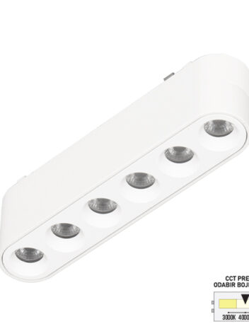 LED magnetna svetiljka CCT ULTRA SLIM FMS2001-6W